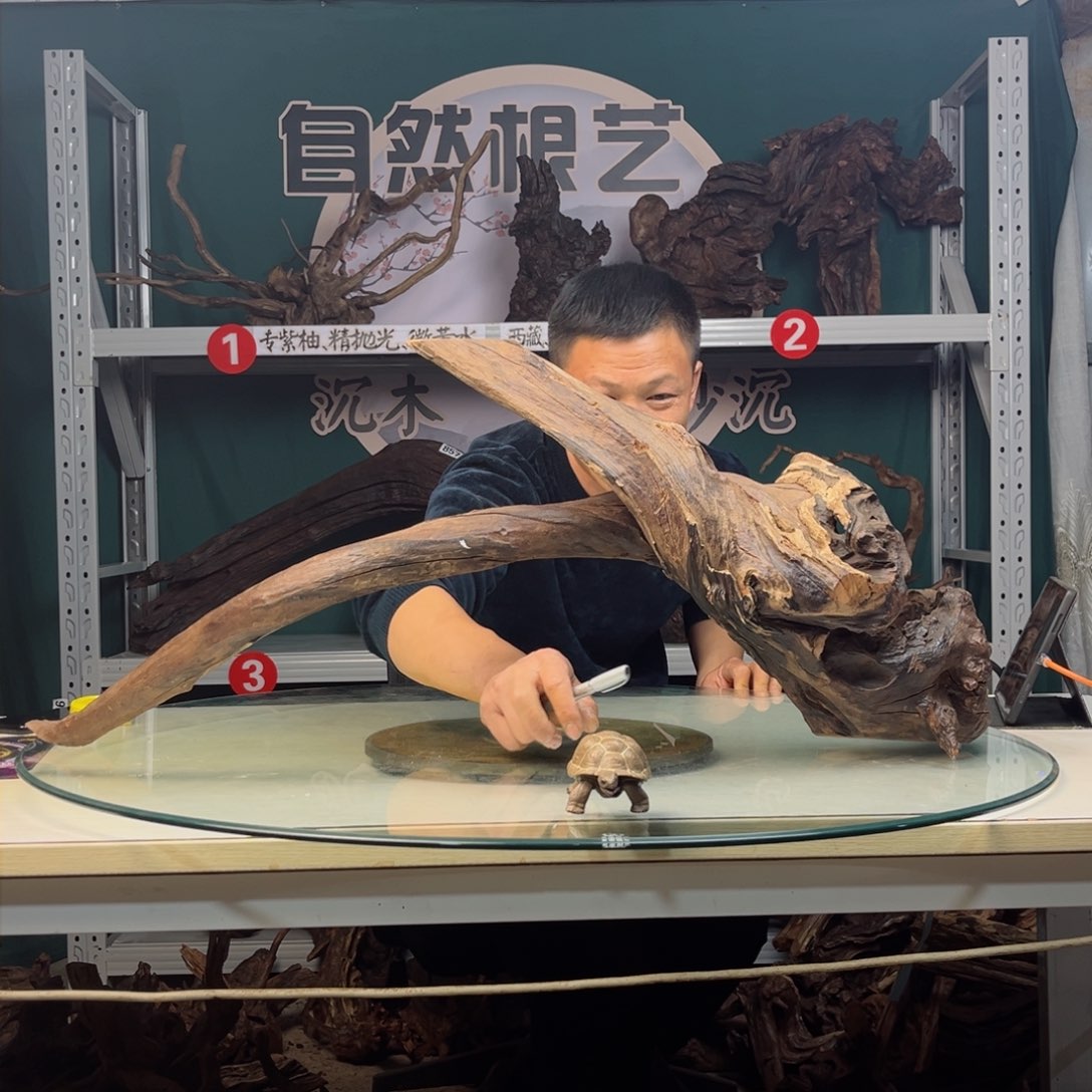 核桃木/黑胡桃（胡桃木）用****8