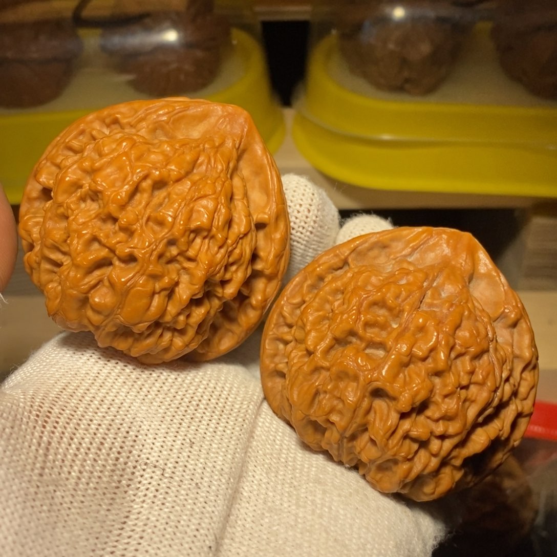 麒麟纹肉纹大官帽50尺精卡精配