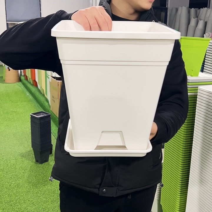 正品方盆口26高29.5白色3只带托