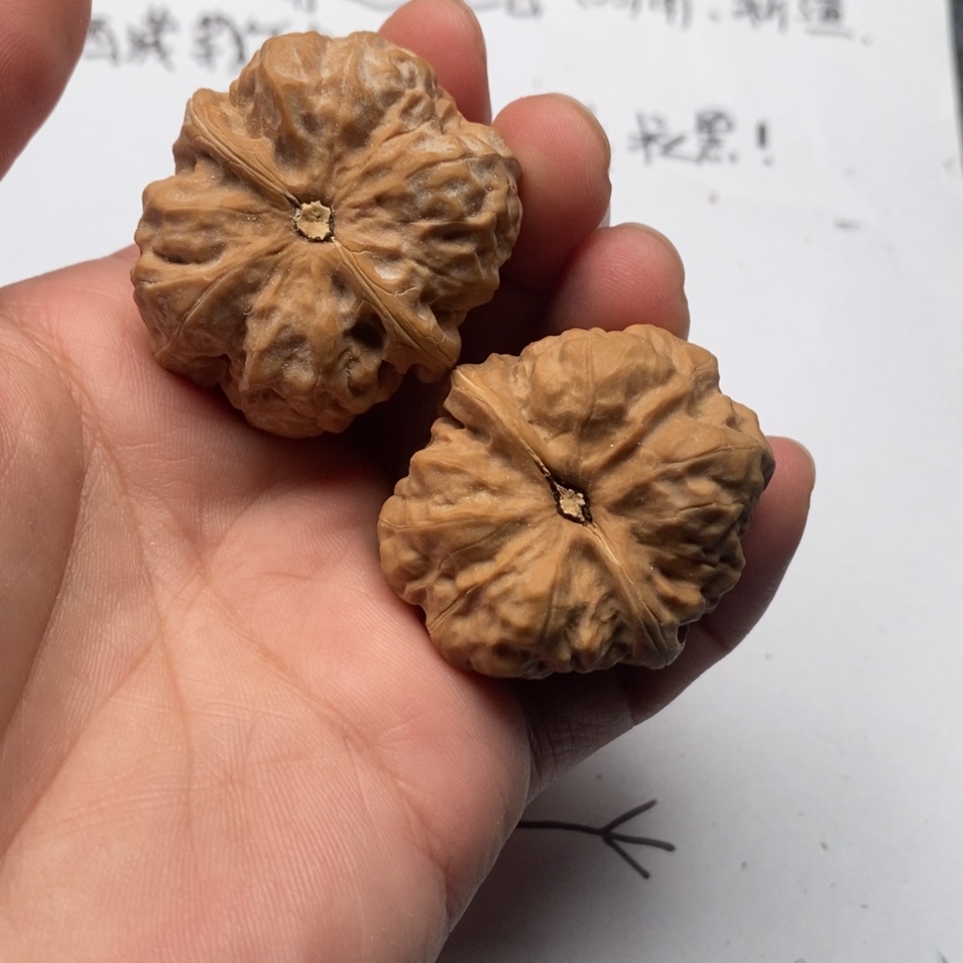 用***9好的我真的是太喜欢了好久没有这么