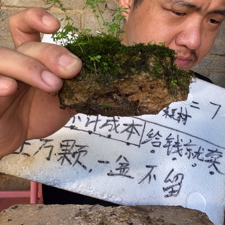 退款拉黑一物一拍10