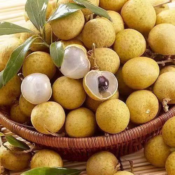 泰国新鲜进口龙眼当季水果整箱桂圆A级果