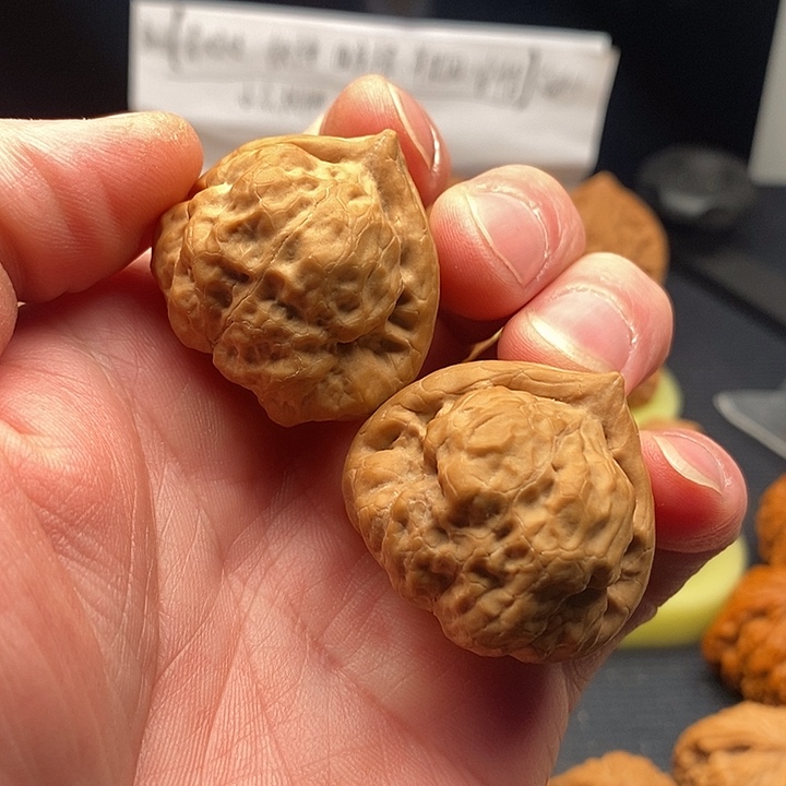 文玩核桃把件闪电39