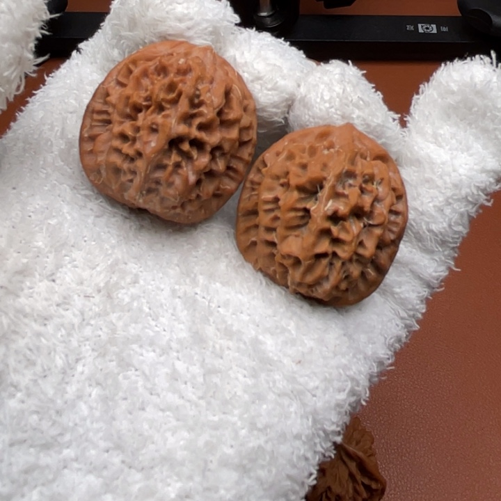 小***铭文玩核桃吊坠秦核等人的故事也在这里展开