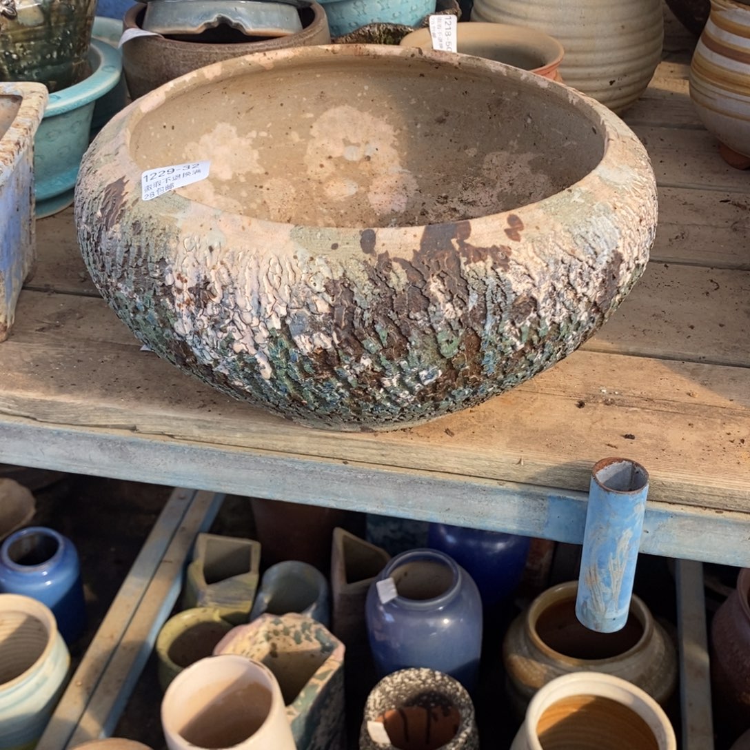 唐***拉32号多肉盆口径22