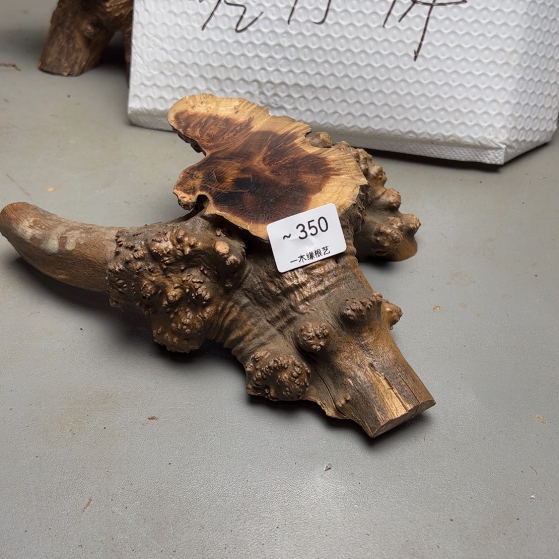 吒***录无花朵         350