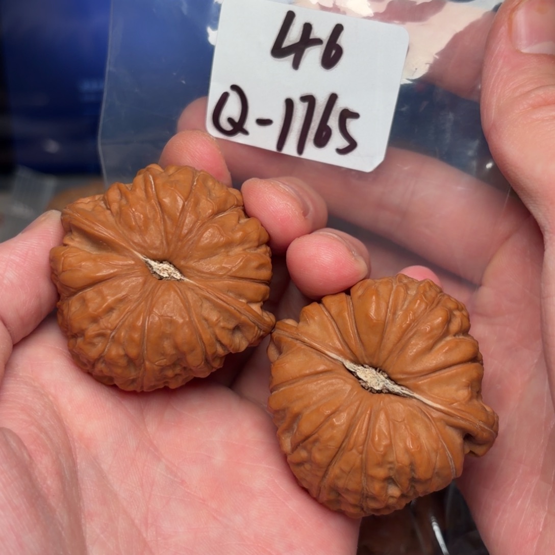 把件文玩核桃46南瓜墩1765号