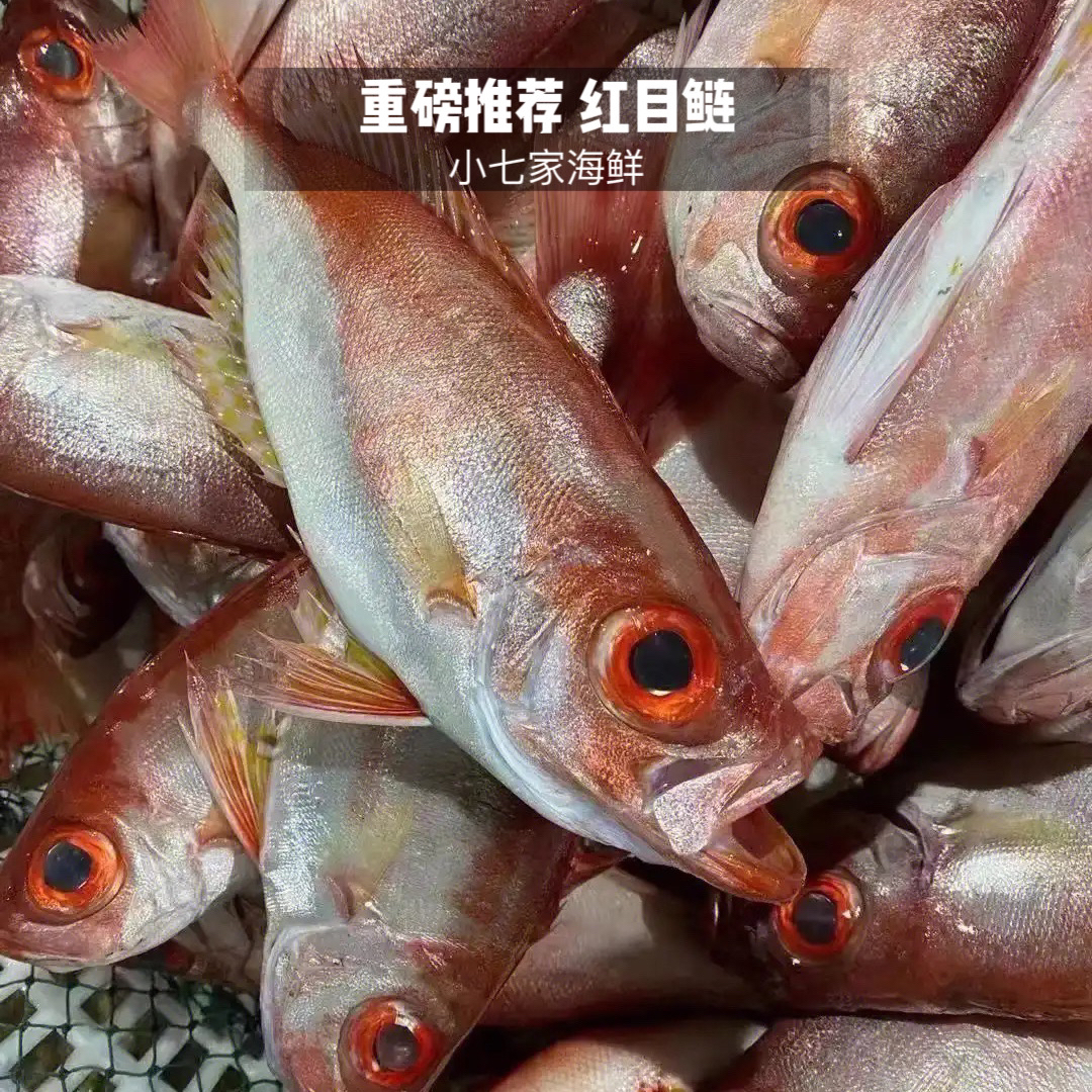本港（红目莲）大眼鸡肉质鲜嫩多汁 新鲜到港包好吃