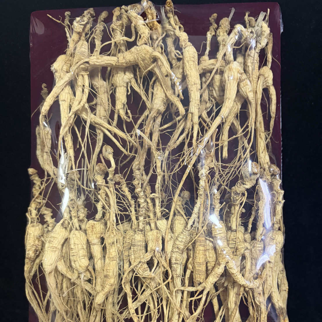 长白山林下参100克