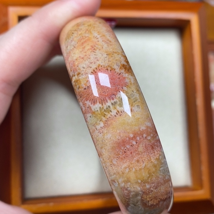 硅化珊瑚（珊瑚玉）手镯未镶嵌58.6