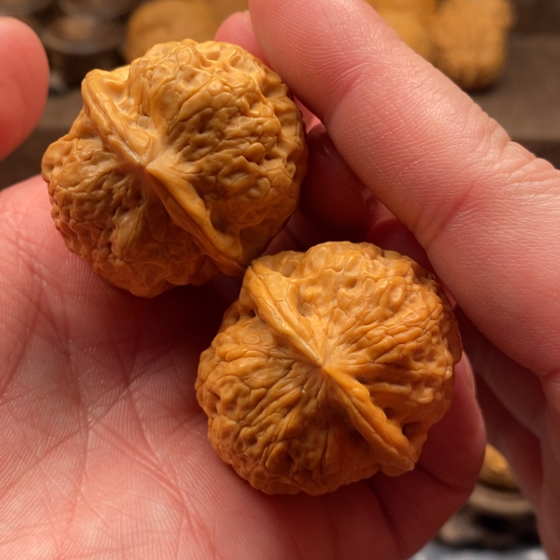 文玩核桃把件铁核桃
