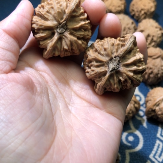 文玩核桃把件文玩核桃宫灯不退换