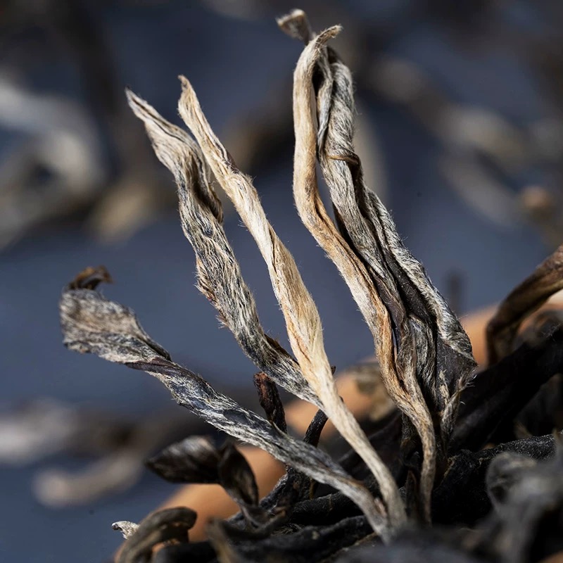 云南薄荷糖古树生普云南普洱生茶散茶