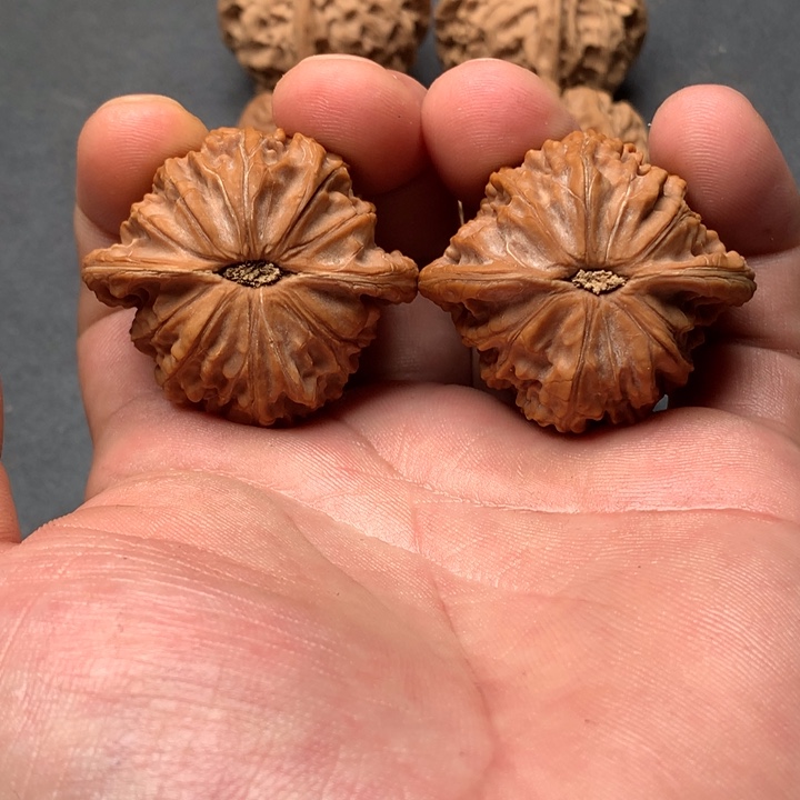 来***鹤吊坠文玩核桃山地磨盘文玩核桃