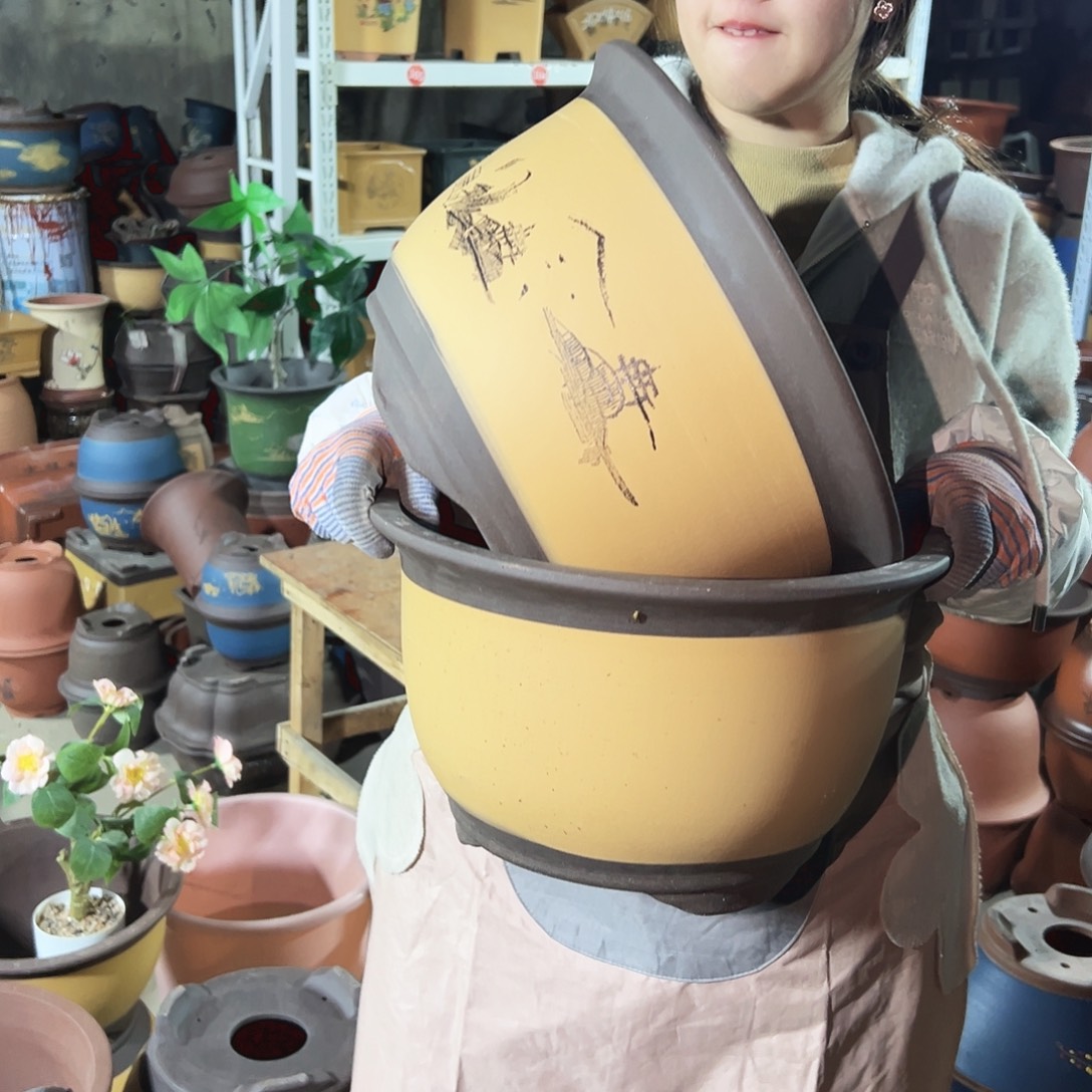 002花盆花盆花盆花盆×2