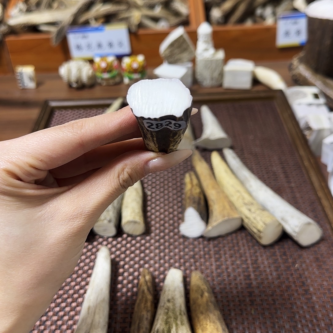 手串/手链鹿骨2829角尖