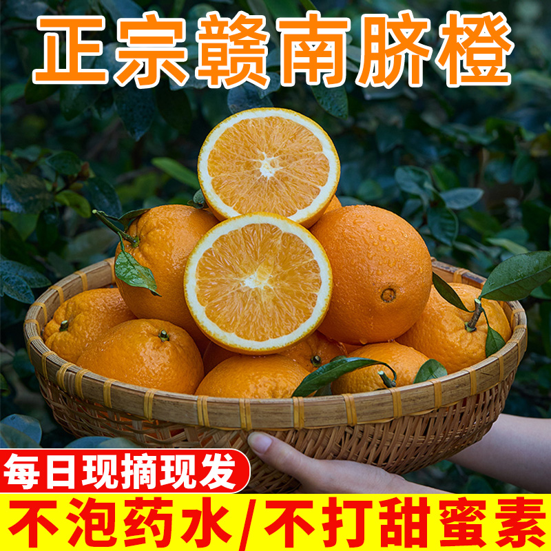 赣南脐橙正宗赣南橙子脐橙果园现摘现发不打甜蜜素江西赣南橙子
