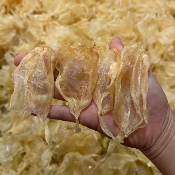 本港野生白花鱼胶 滋补花胶 鲜炖炖奶口感Q糯 零腥味