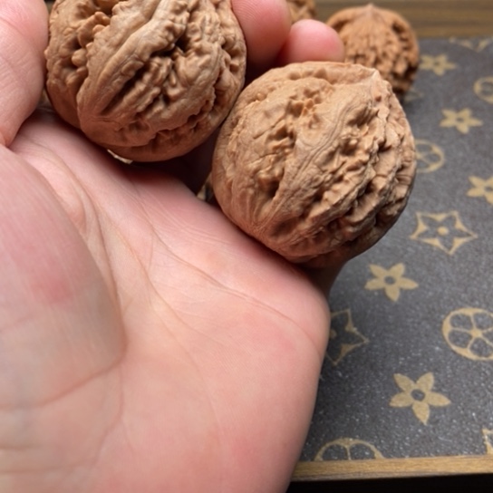 文玩核桃把件春**物霸王龙