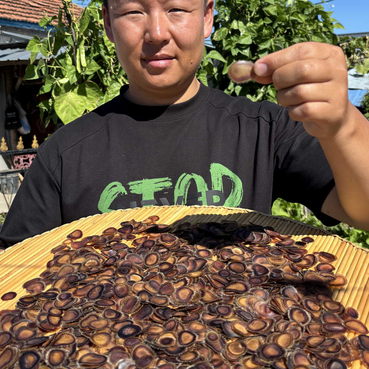 鹿茸片精品主干全腊片泡酒滋补煲汤