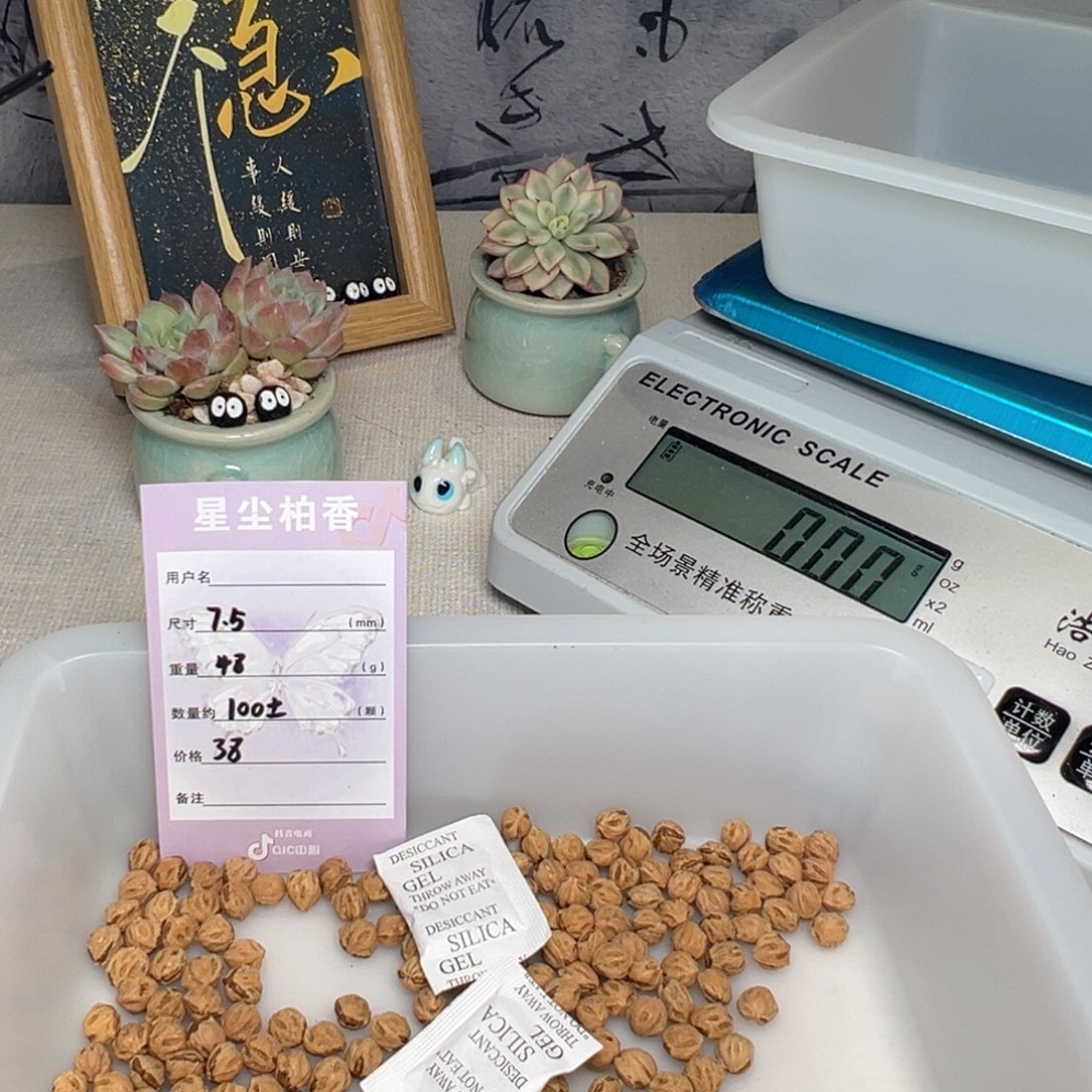 一***桶吊坠柏香籽/百香籽