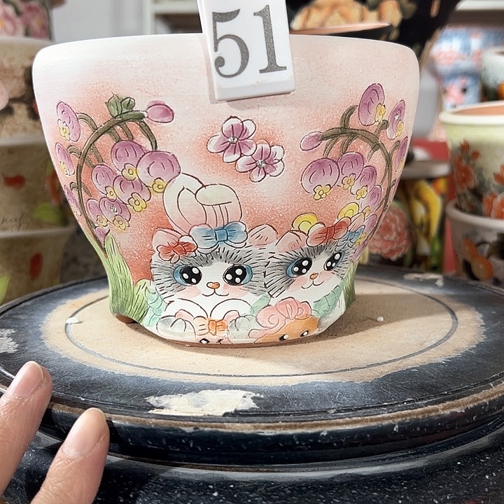 满38包邮 不满足不发哈