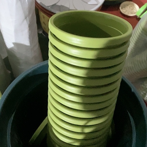 树脂口径14果绿10个无托