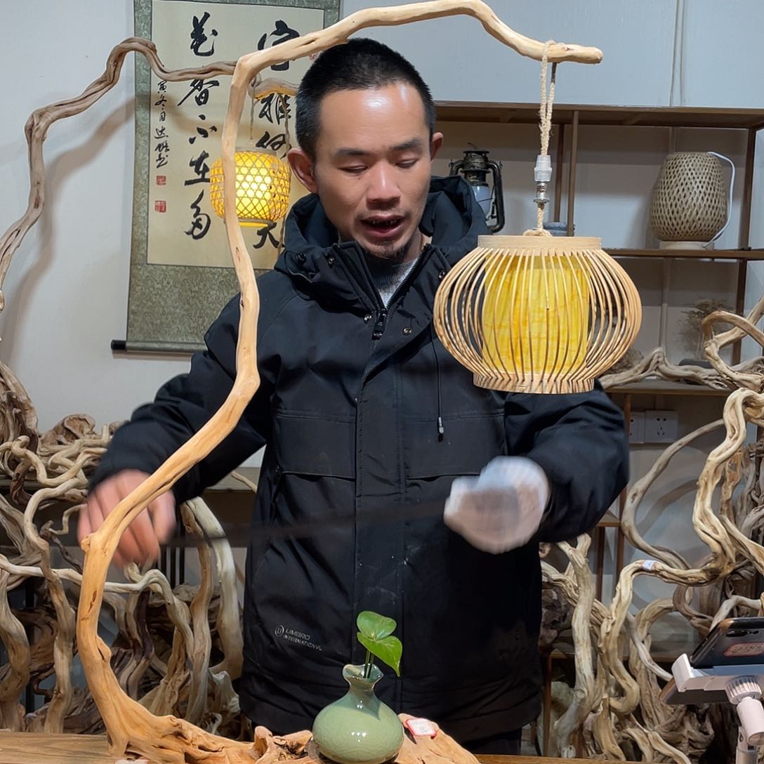 柏木杜鹃花白玉兰广场