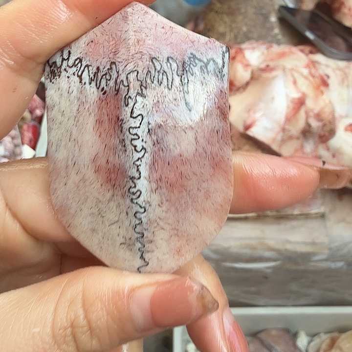 养殖鹿骨三界牌子