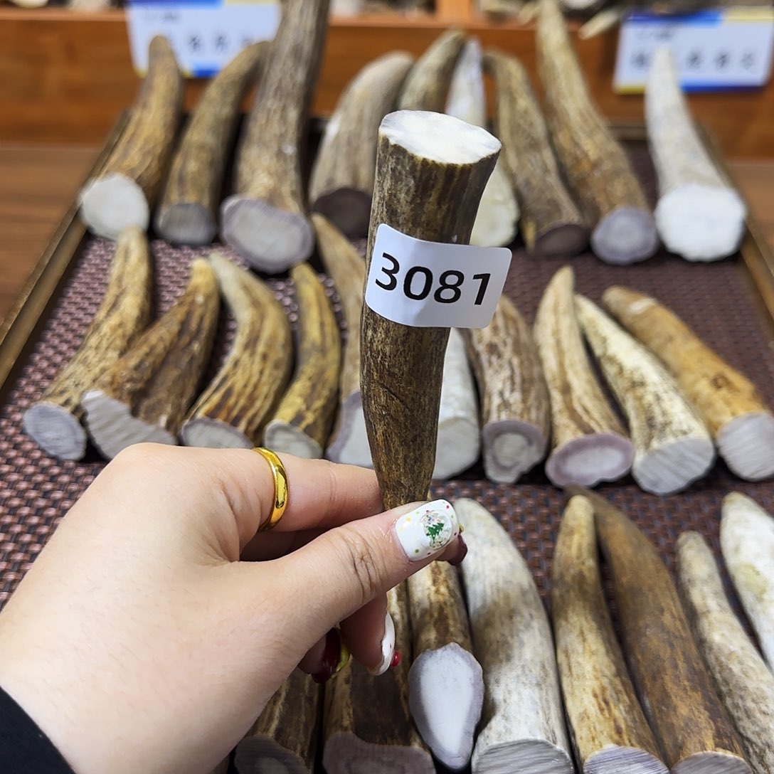 手串/手链鹿骨角尖3081