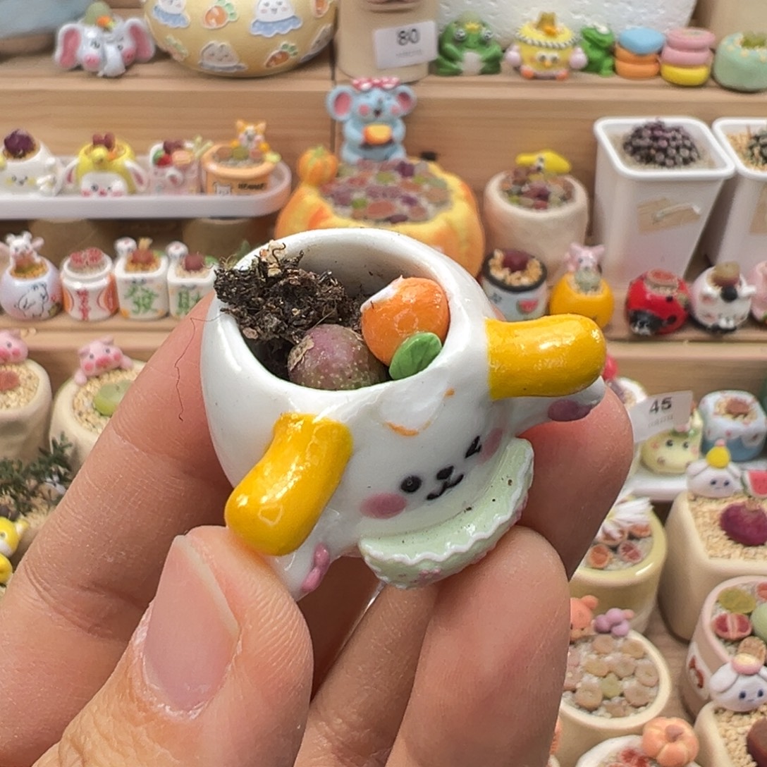 多肉植物86号特价