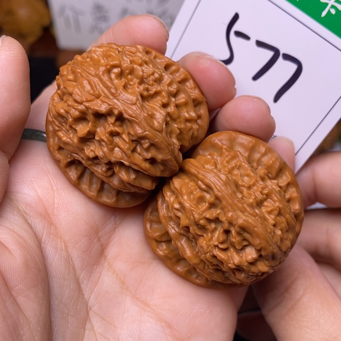 把件文玩核桃577白狮子3.9