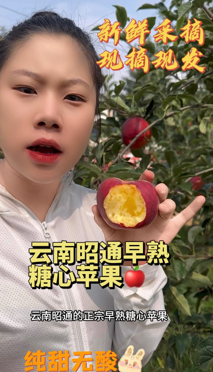 现摘现发云南昭通高原红露丑苹果应季水果脆甜多汁好吃5斤10斤