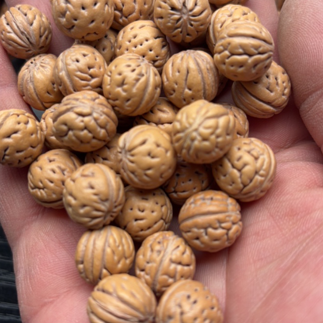 纯野生山桃核毛桃核散籽各种品相小尺寸可自制手串脖挂