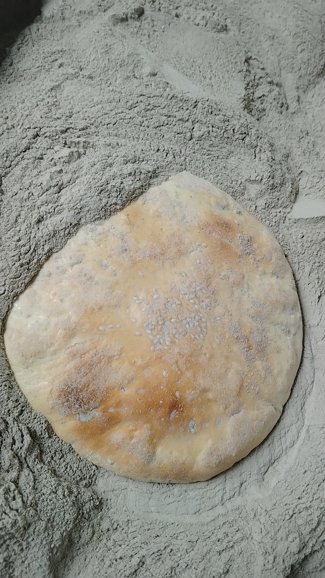 四川地方特色美食国华火烧馍