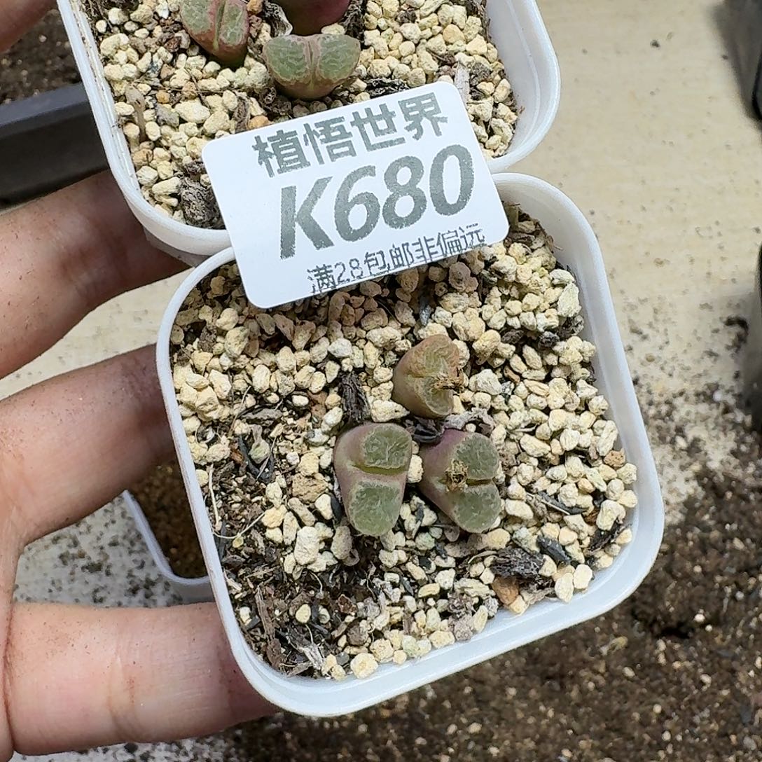 是***～多肉植物的润泽fghb