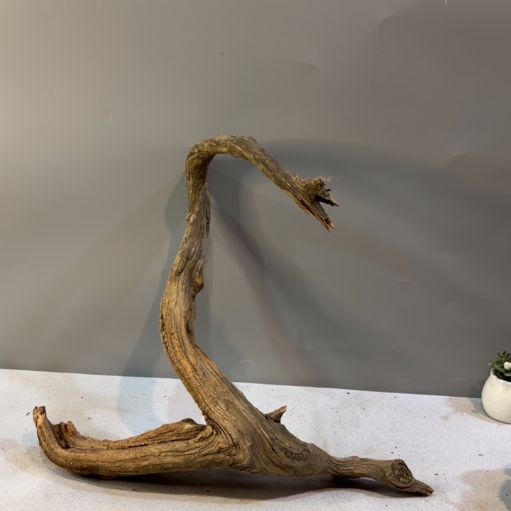 用***9崖柏造型纹理摆件料