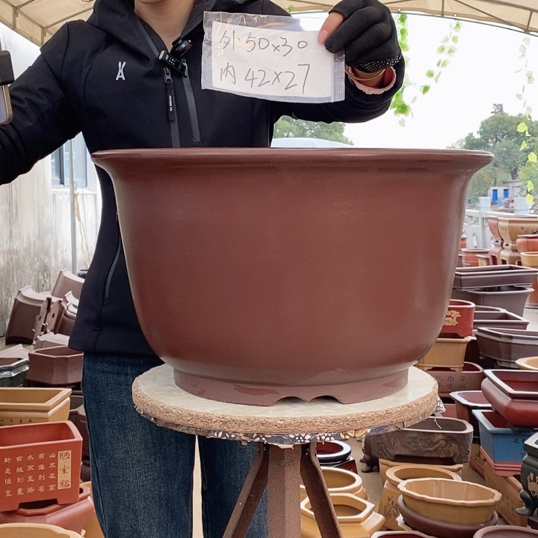 紫砂花盆紫砂花盆