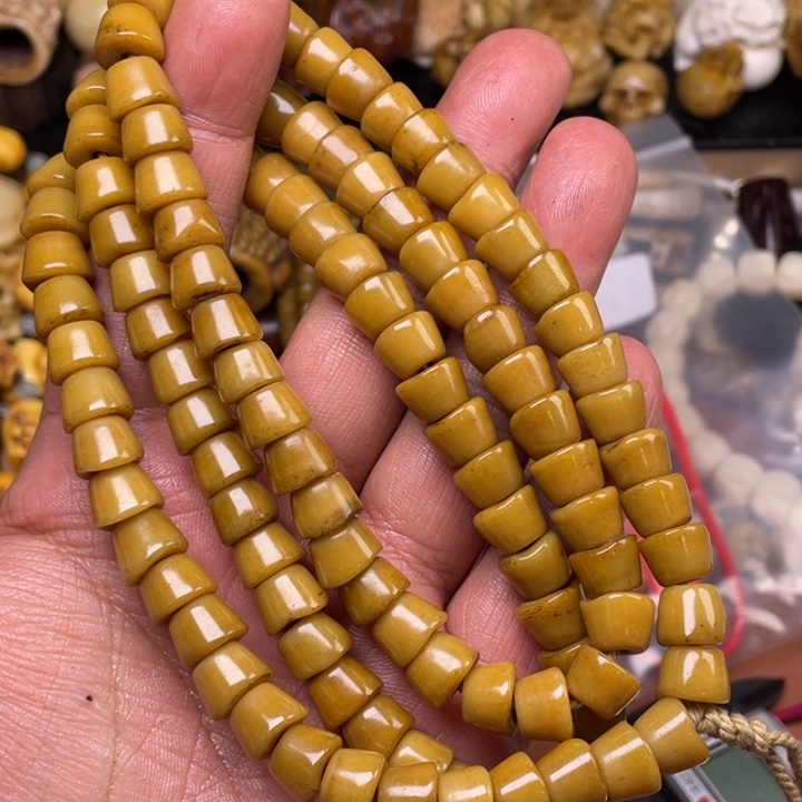 驼骨其他人工养殖