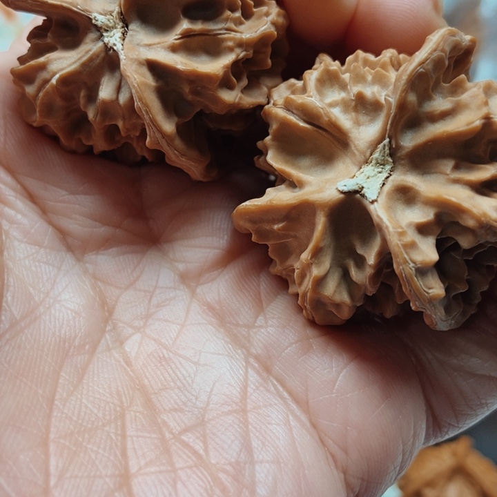 鹦***生文玩核桃手串盘山