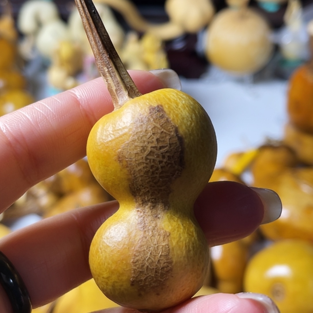 *****葫芦葫芦葫芦葫芦