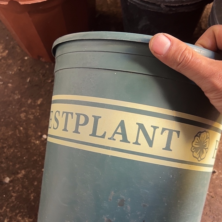 加仑盆口径22高21发6个