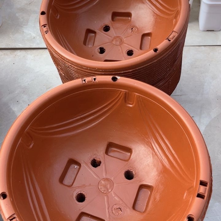 树脂红吊兰盆口26方12一组13