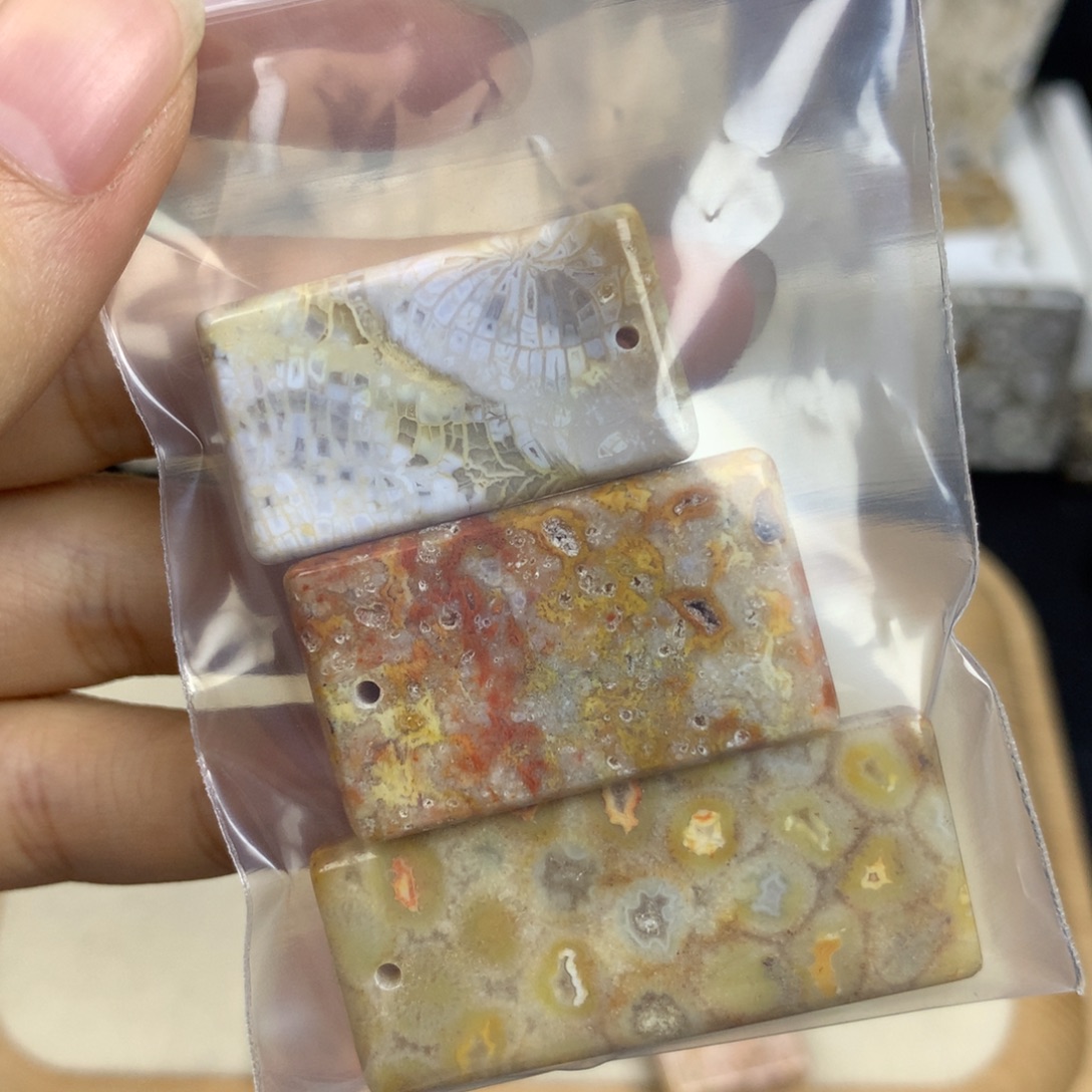 一***儿未镶嵌无硅化珊瑚（珊瑚玉）