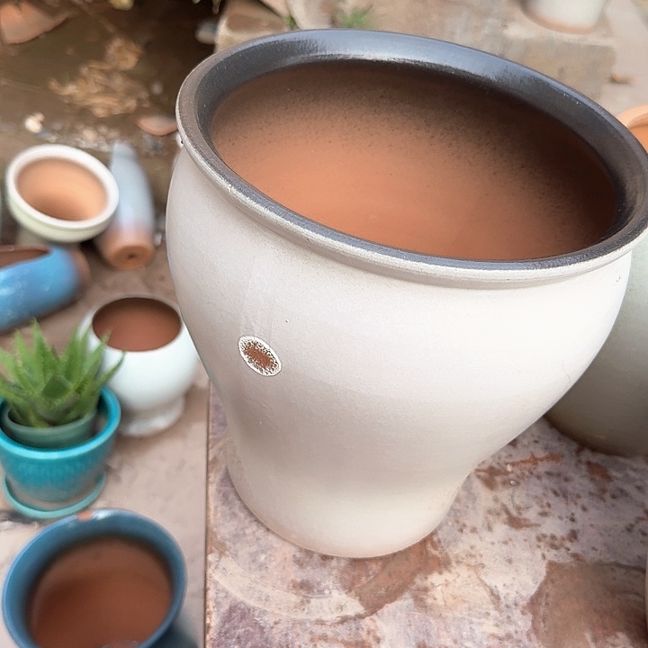 微瑕花盆啦啦哈哈