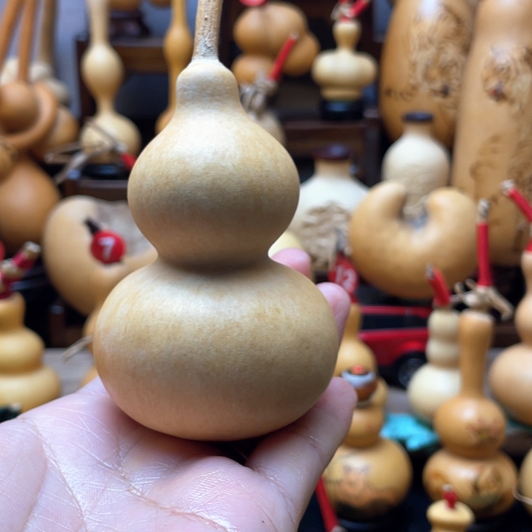 日***日大自然的秘密第十一节你是