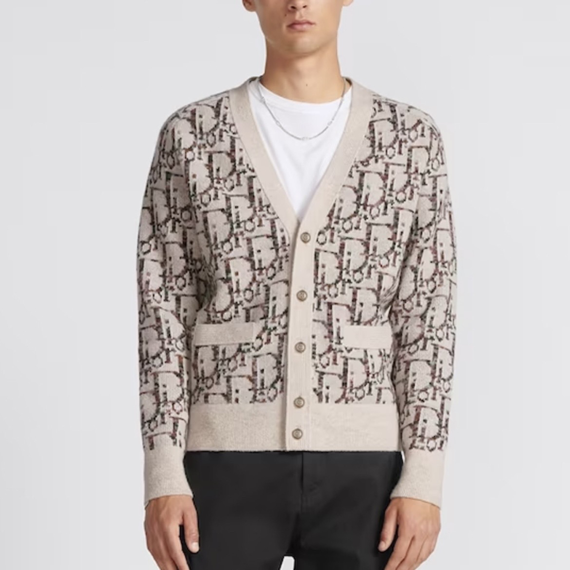 6793/DIOR FW23 字母图案满印V领休闲长袖针织衫/M码/全新带吊