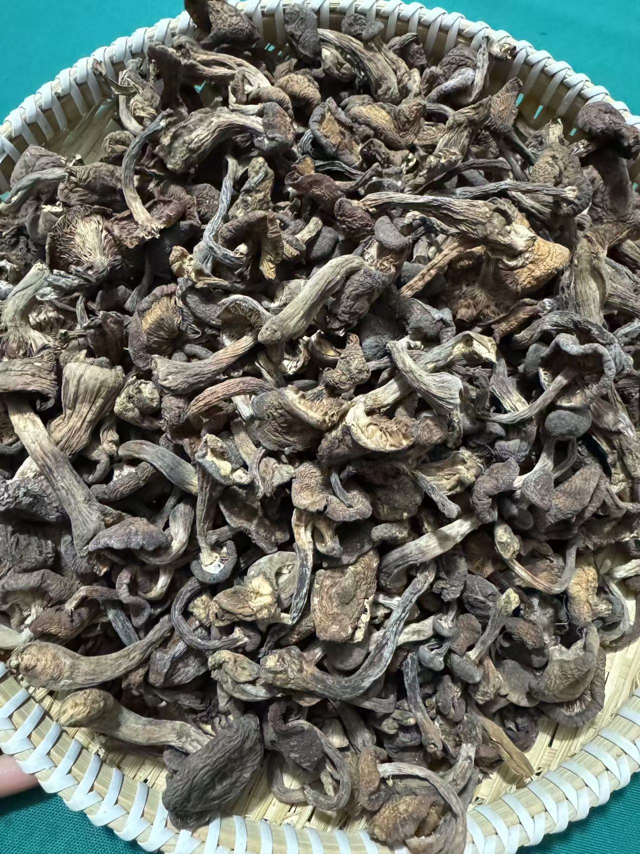 正八经东北野生榛蘑一斤装