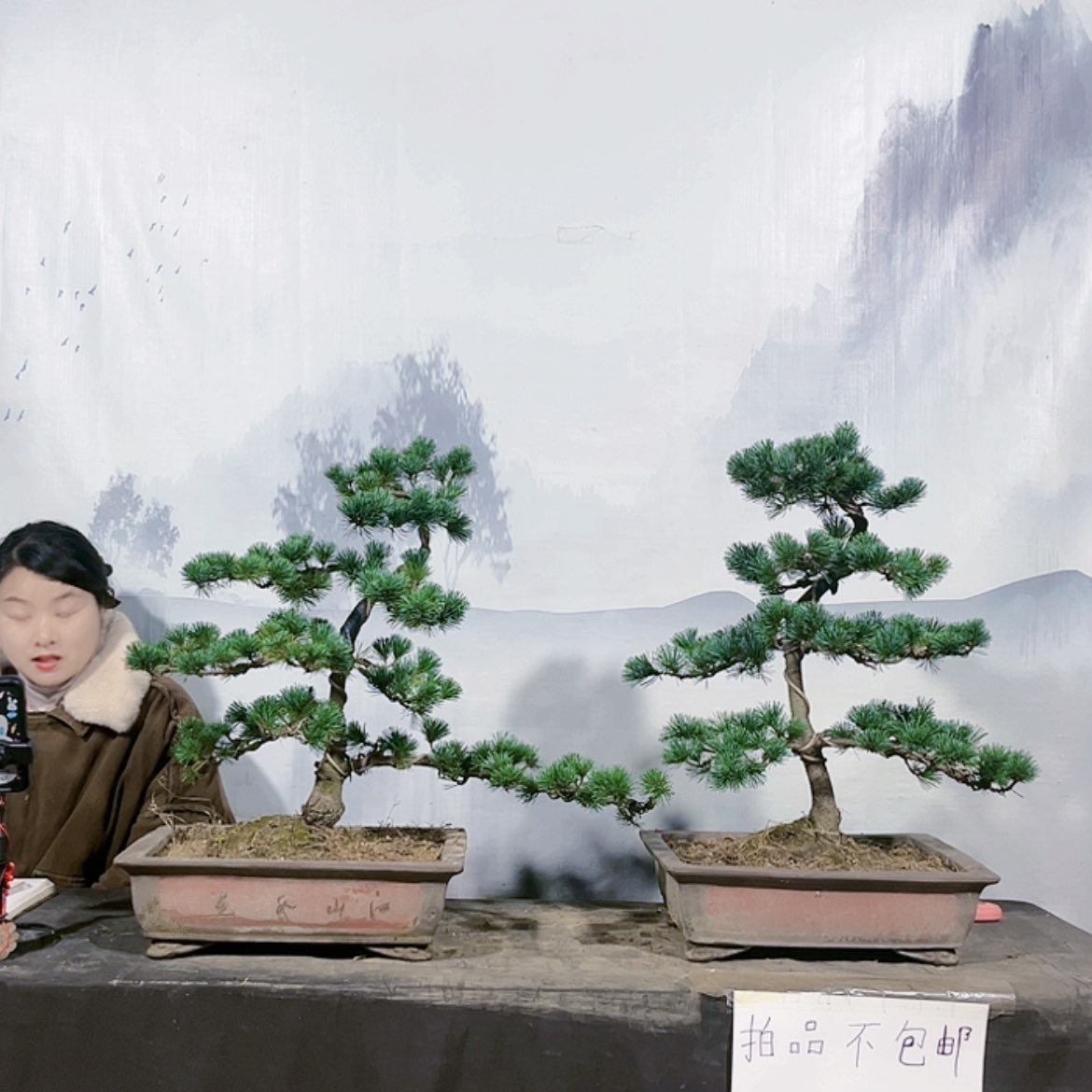 【闪购商品】无花朵运费到付