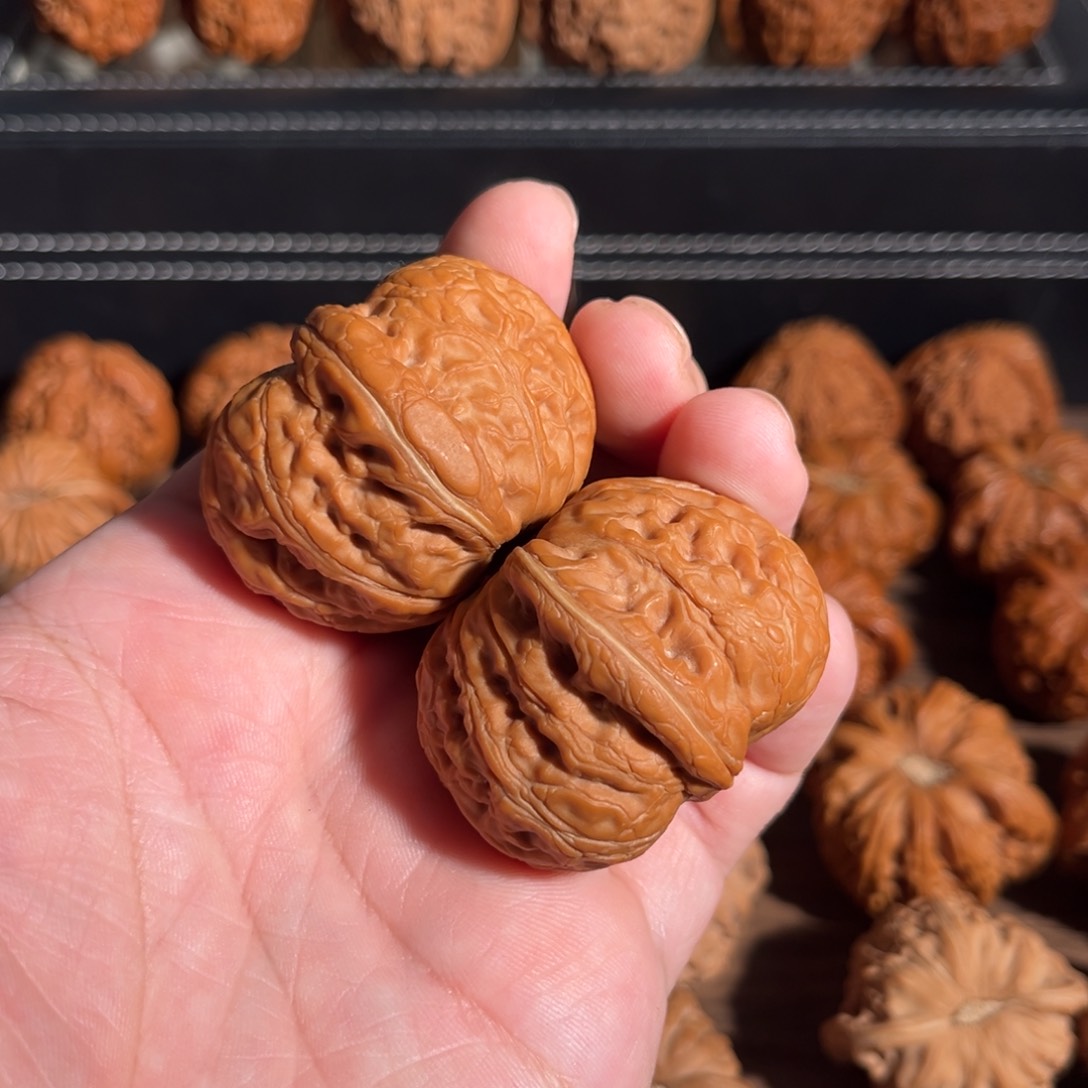 手串/手链核桃44全品元宝 49克